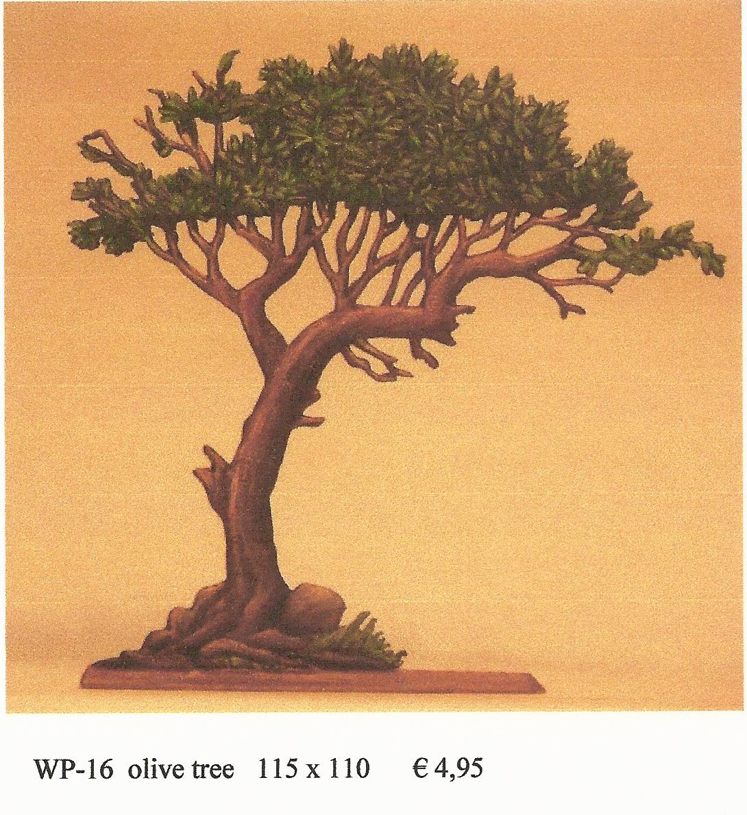 WP16  Large Olive Tree